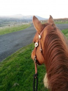 Evening Ride to Freddy's Knoll